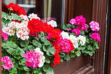 世嘉射击新作《鬣狗》预告 组建战队抢劫亿万富翁